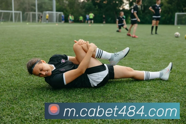 ca亚洲城APP 封面图